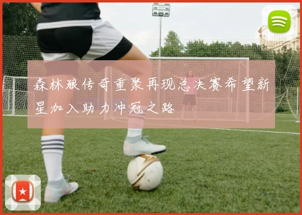 森林狼传奇重聚再现总决赛希望新星加入助力冲冠之路
